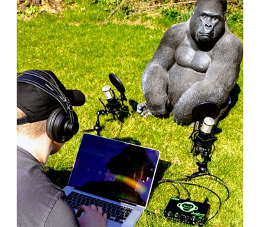Monkey Banana Bonobo
