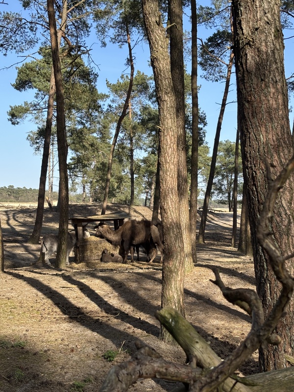 Afbeeldingslocatie: https://tweakers.net/i/9P_8EDmBQ_3lW9DLDJRRObvQfCg=/x800/filters:strip_icc():strip_exif()/f/image/B9Y9g2xxxA9TkLjM0DsbRiKY.jpg?f=fotoalbum_large