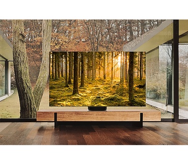 Samsung 65" Neo QLED 8K QN900B (2022)