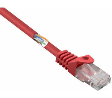 Renkforce RF-5044014