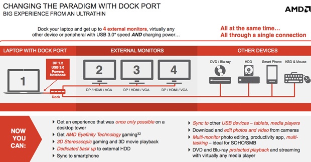 AMD Dock Port
