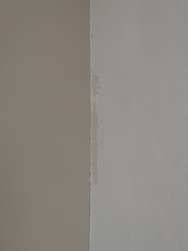 Afbeeldingslocatie: https://tweakers.net/i/9RxX1L1krPYLbyxEccbO6Rsm6gk=/x800/filters:strip_icc():strip_exif()/f/image/qwNEl59vXfkin1f9m1CPNS4h.jpg?f=fotoalbum_large