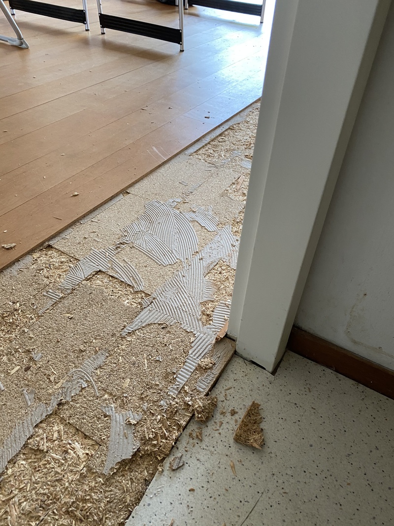Afbeeldingslocatie: https://tweakers.net/i/9RyclkuaYYDycE4MiQKk7_ofVw0=/800x/filters:strip_icc():strip_exif()/f/image/rvfjycHNauw26VghyW8ClxAX.jpg?f=fotoalbum_large
