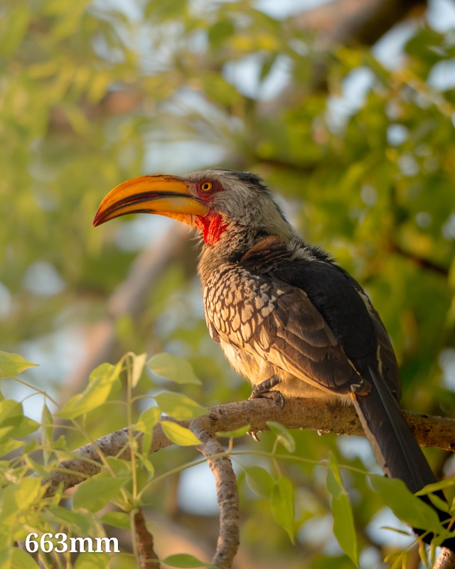 Afbeeldingslocatie: https://tweakers.net/i/9UFrnZE-bPGNlwJ9XgXydule7C0=/x800/filters:strip_icc():strip_exif()/f/image/bIU74w6LhNyBuynPEQiA2iOC.jpg?f=fotoalbum_large