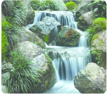 Fellowes Waterval