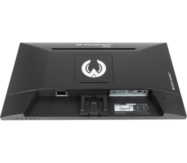 Iiyama G-MASTER