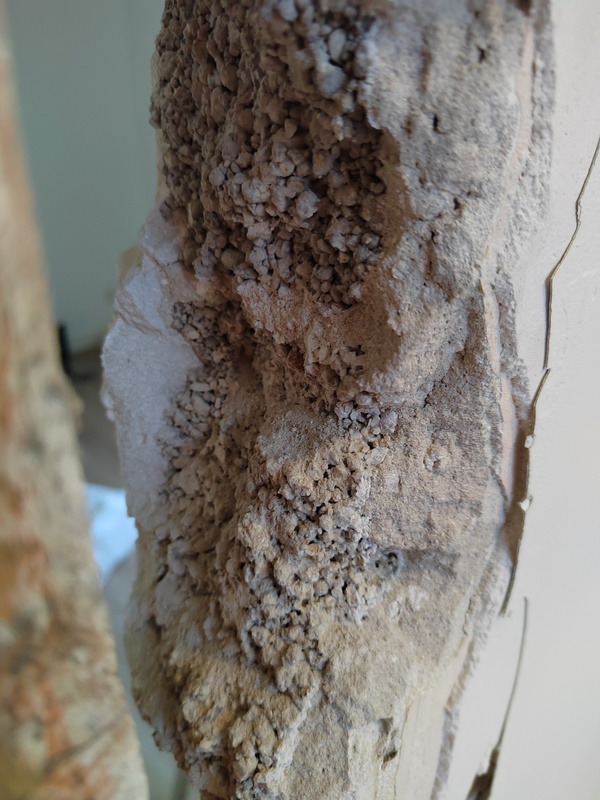 Afbeeldingslocatie: https://tweakers.net/i/9_gT1WFdzx0rdLbErUbsE2tS5lA=/x800/filters:strip_icc():strip_exif()/f/image/cyeucrO3MtsIEMh3V3sqnc3r.jpg?f=fotoalbum_large