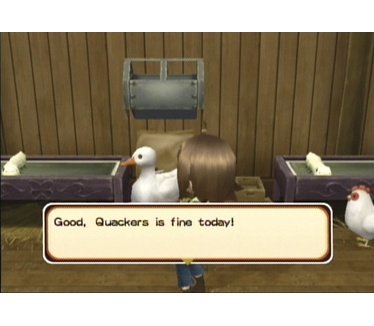 Harvest Moon: Tree of Tranquillity, Wii