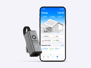 Homey Energy Dongle