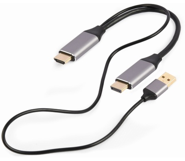 Gembird A-HDMIM-DPM-01 Zwart