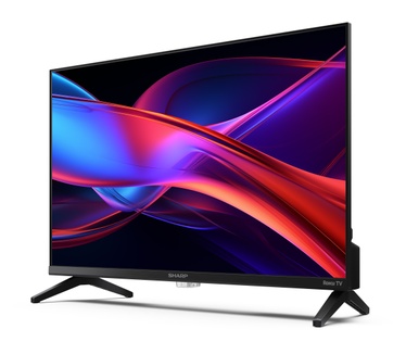 Sharp 24GD2225E Zwart