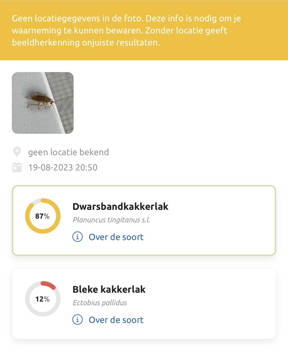 Welk insect is dit? - Algemene zaken - GoT
