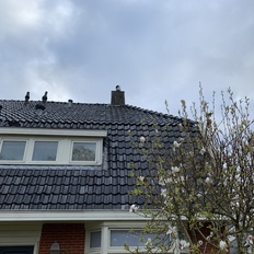 Afbeeldingslocatie: https://tweakers.net/i/9fXlr8wdQhicZVFlNPR-HSv8Ilw=/232x232/filters:strip_icc():strip_exif()/f/image/5p1FKnCtzDLNcS65W0IqsY0Z.jpg?f=fotoalbum_tile