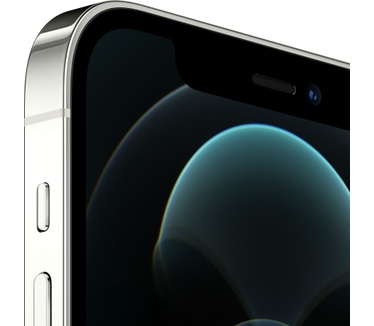 Apple iPhone 12 Pro 256GB Zilver