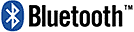 Bluetooth Logo