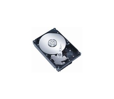 MicroStorage 250GB 3.5" SATA II