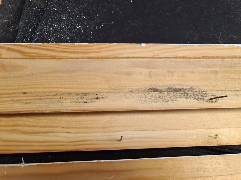 Afbeeldingslocatie: https://tweakers.net/i/9nFJJu3o00VvQjaHCaA6cNCIIRA=/800x/filters:strip_icc():strip_exif()/f/image/M5YOsxo5HGGaky4bqfHotZj4.jpg?f=fotoalbum_large