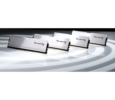G.Skill F5-6000J3036F48GX2-RM5RW