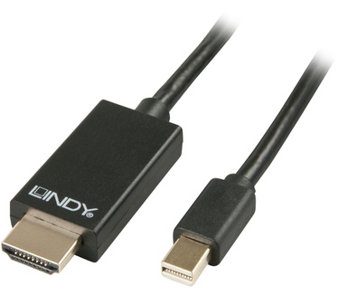 Lindy Mini DisplayPort/HDMI 2m