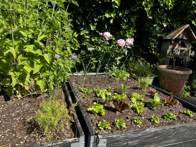 Afbeeldingslocatie: https://tweakers.net/i/9qQZz4WoYyqrqkDIYtna6jw2f6A=/800x/filters:strip_icc():strip_exif()/f/image/ggyrHD7MSRZzaxkkoHkzfwy9.jpg?f=fotoalbum_large