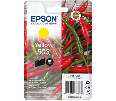 Epson 503