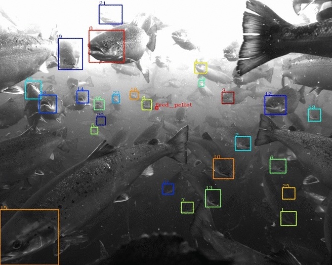 Tidal Alphabet
