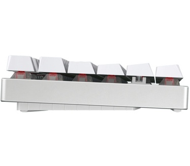 Cherry MX 8.2 TKL Wireless RGB