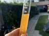 Afbeeldingslocatie: https://tweakers.net/i/9uDEXKWzWrZoZolvapHl6kwYraw=/100x75/filters:strip_icc():strip_exif()/f/image/xxrV7gRQXxLeC7980PXwHXd3.jpg?f=fotoalbum_small