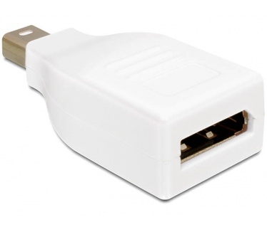 Delock DisplayPort Mini M/FM