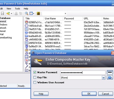 KeePass Password Safe screenshot (resized)