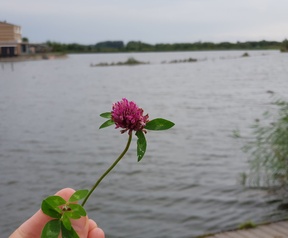 Foto gemaakt met Samsung Galaxy Note 8