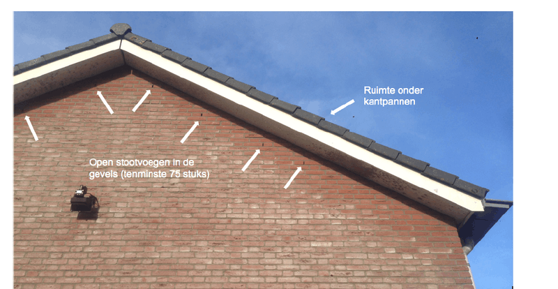Afbeeldingslocatie: https://tweakers.net/i/9zf7p2Fa3c3VguDJh8ogKph_5OQ=/800x/filters:strip_exif()/f/image/b44A5HQS9atDtJUANGIp9Ssv.png?f=fotoalbum_large