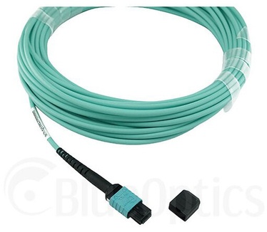 BlueOptics 9380014-10M