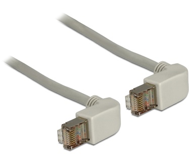 Delock 2m Cat.6 SSTP