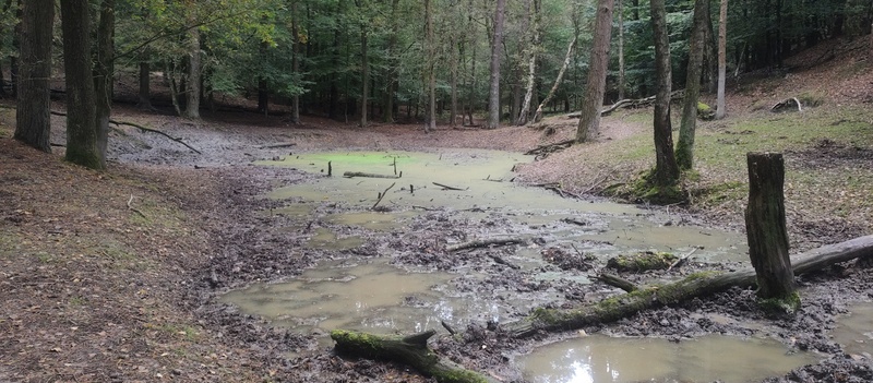 Afbeeldingslocatie: https://tweakers.net/i/AAmPmQ5YNJAr2zPBLsv_MfMLXXg=/800x/filters:strip_icc():strip_exif()/f/image/TqtBY9eqq5G5dQHt2j4d3LYY.jpg?f=fotoalbum_large