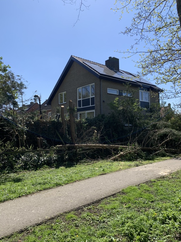 Afbeeldingslocatie: https://tweakers.net/i/ABDeZuQNufoySrse16XJN2VBSig=/x800/filters:strip_icc():strip_exif()/f/image/qhv2tMcxsp4iXqgSHa8TzFCM.jpg?f=fotoalbum_large