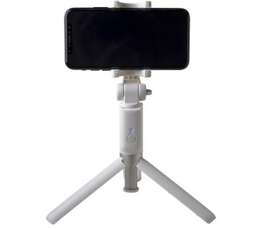 Celly Click Propod