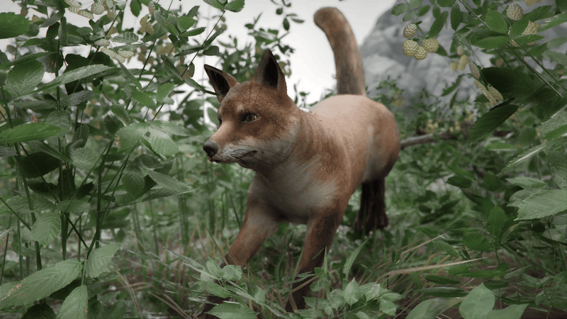 Afbeeldingslocatie: https://tweakers.net/i/ACJiDYjNSTWoS9AVQRVUpusfuGo=/800x/filters:strip_exif()/f/image/m76HUH6x5xFwED5v2E3S1MF9.png?f=fotoalbum_large