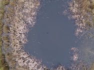 Voorbeeldfoto's Phantom 4 Pro (JPEG)