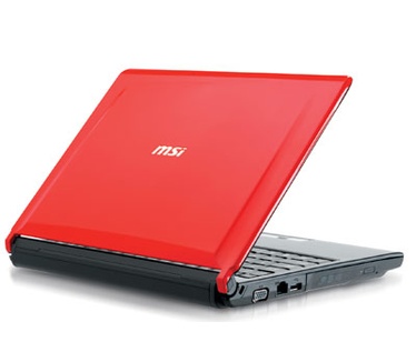 MSI EX310-011BE