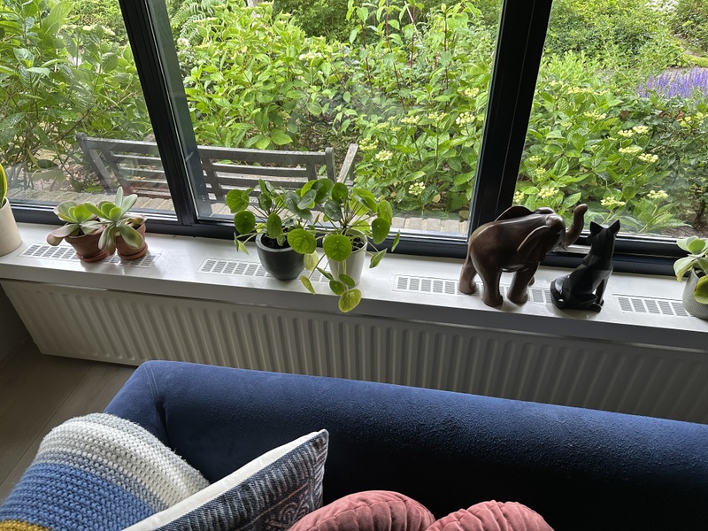 Afbeeldingslocatie: https://tweakers.net/i/AEPKoilL4pd82eW7NbHu5sE0pLU=/800x/filters:strip_icc():strip_exif()/f/image/GFuuzos2Xy7PWAzoa1gr0joP.jpg?f=fotoalbum_large