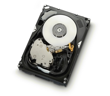 HGST Ultrastar 15K600 (FC 4Gbps), 600GB