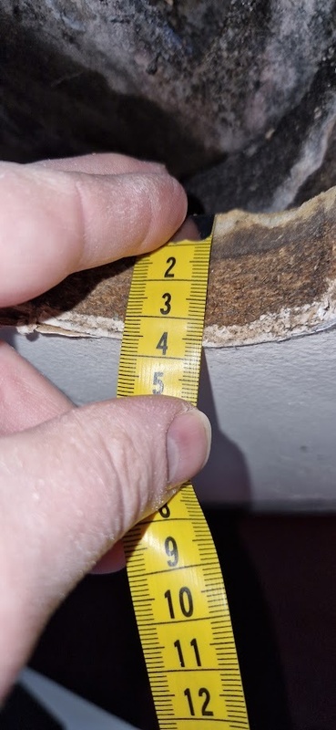 Afbeeldingslocatie: https://tweakers.net/i/AGn3NZvzeniHodmQ5IlAG6Dudi0=/x800/filters:strip_icc():strip_exif()/f/image/oqL9sjLgZXXNF1cYnSbutPGA.jpg?f=fotoalbum_large