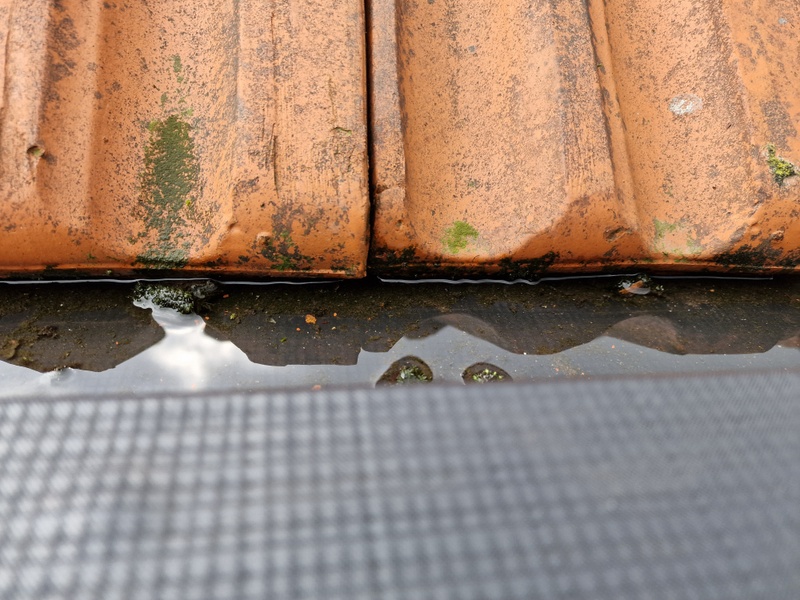 Afbeeldingslocatie: https://tweakers.net/i/AH1HAaplHm08Y7-fIQJAk2obY8Y=/800x/filters:strip_icc():strip_exif()/f/image/P7fhwF4jgsrK7QvysK2bcZBe.jpg?f=fotoalbum_large