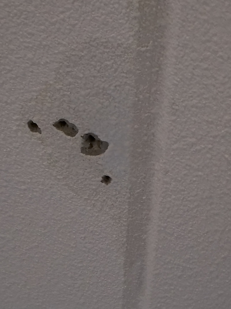 Afbeeldingslocatie: https://tweakers.net/i/AHoynXnGzhNvD97CNHMaiqRAjMk=/800x/filters:strip_icc():strip_exif()/f/image/cLMIr8Uk2f2x2QtLOHiFZE7j.jpg?f=fotoalbum_large