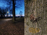 OnePlus 15 cameratest - Primair nachtmodus