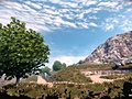 World Rally Championship 3 screenshots
