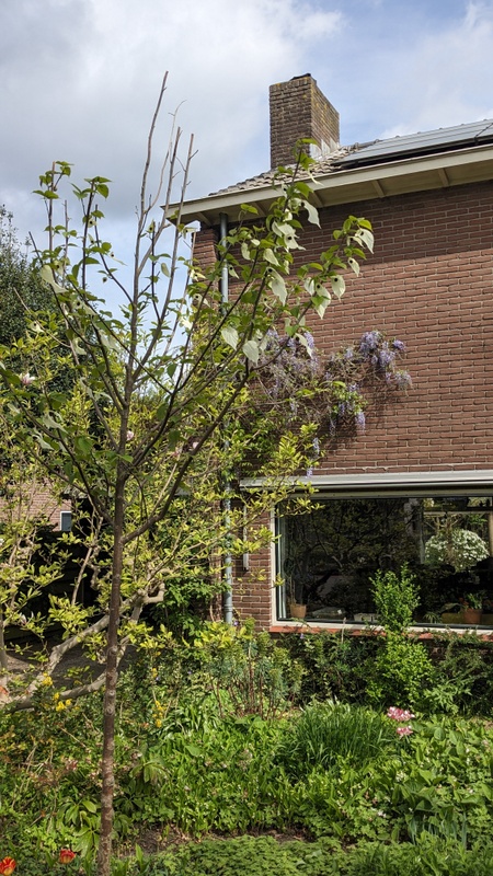 Afbeeldingslocatie: https://tweakers.net/i/AMwy5rx3qeftOPtXnbMvJIN0o3k=/x800/filters:strip_icc():strip_exif()/f/image/tVLExiymgs0ZvcUeMJc9la15.jpg?f=fotoalbum_large