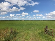 Praktijkfoto's