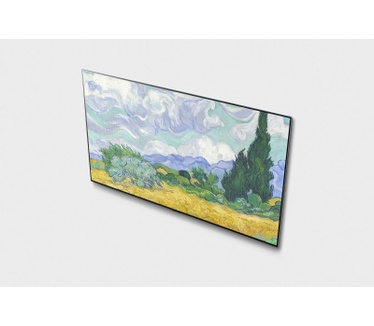 LG OLED55G16LA